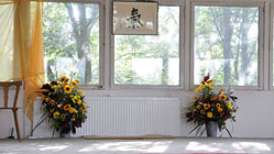 Aikido_Icon_Original_raster_V2_shark