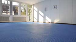 Aikido_Icon_Original_raster_V2_shark