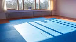 Aikido_Icon_Original_raster_V2_shark
