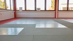 Aikido_Icon_Original_raster_V2_shark